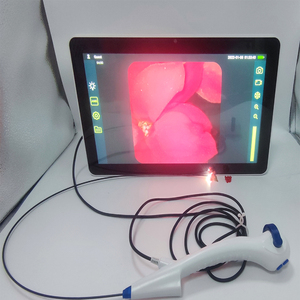 จอ<span class=keywords><strong>ภาพ</strong></span>โปรเซสเซอร์ภาพขนาด 11.6 นิ้วสำหรับโซลูชันการส่องกล้อง <span class=keywords><strong>ภาพ</strong></span>คมชัดระดับ Full HD - Product Image 2