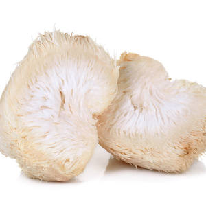 ISO/코셔/GMP 고품질 유기농 <span class=keywords><strong>50</strong></span>:1 사자 갈기 추출물 - Product Image 5