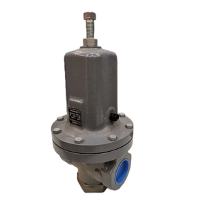 ตัวควบคุมรุ่น MR95 ซีรีส์ใหม่ของแท้ 1/4 NPT 1/2 นิ้ว / DN 15 MR95L/MR95H/MR95HP/MR95HT/MR95LD - Product Image 1