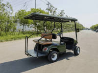 Voiturette de golf électrique 4 places, 60V 100AH, batterie au plomb, autonomie 80KM, directement de l'usine, pour parcours de golf, en stock