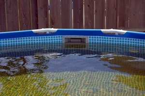 منتجات جديدة: مصفاة حمام سباحة خرسانية، ملحقات حمام السباحة، مصففات حمام سباحة واسعة الفوهة للمسابح الأرضية - Product Image 5