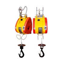 Nouvelle petite grue électrique à câble King Kong 110V, capacité de charge 500 kg, télécommande, en alliage d'aluminium, pour restaurant