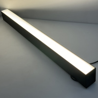 Lumière linéaire LED suspendue à diffuseur prismatique blanc réglable UGR<19 avec boîtier en aluminium noir mat