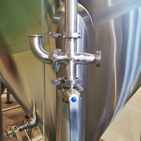 Cuve de Fermentation Micro-Bière Personnalisée avec Réservoir sous Pression pour Pub - Capacité 2000L/4000L