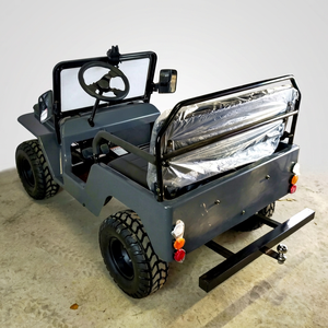 Mini Vehículo Utilitario Todoterreno Eléctrico Comercial Grande con Tracción de Cadena Automática - Product Image 1