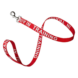 पालतू प्रशिक्षण काम करने वाली लीश चिकित्सा कुत्ते नायलॉन पट्टा छोटे मध्यम बड़े कुत्तों के लिए चिंतनशील अक्षरों के साथ मुद्रित - Product Image 4