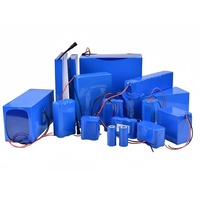 Paket Baterai LiFePo4 Kustom 18650 32700 32140 26650 2S 3S 4S 5S 6S 8S 12V 24V 12Ah 15Ah 10Ah Smart BMS Baterai Lithium Ion