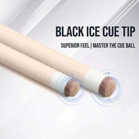 Queue de billard professionnelle haut de gamme en bois de bouleau de 58 pouces, 20 oz, en deux parties, pour billard américain (8 boules), avec poignée Litchi noire
