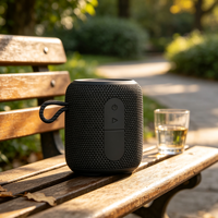 Mini-enceinte sans fil TWS RGB V5.3 étanche IPX7 avec micro intégré pour ordinateur et téléphone portable – Vente en gros audio