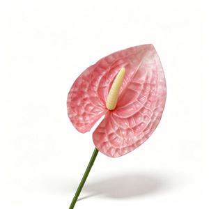 Artificial Anthuriums <b>Single</b> Branch Small Size Multi Color Decorative <b>Flowers</b> Photography Props Fake <b>Flowers</b> - Product Image 2