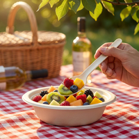 Cuillères jetables compostables et biodégradables en bagasse de canne à sucre pour la restauration