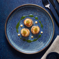 Vente en gros directe d'usine de services de vaisselle en porcelaine, assiettes à fruits en céramique bleu nordique pour restaurants et hôtels