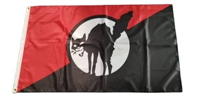 Banderas de Poliéster Personalizadas con Diseños Nuevos 2025, Venta al por Mayor, Publicidad Promocional, Impresión Digital por Sublimación - Product Image 5