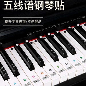 Piano <b>Key</b> Sticker 88 <b>Keys</b> Transparent Note <b>Labels</b> For Keyboard Instrument Accessories - Product Image 1