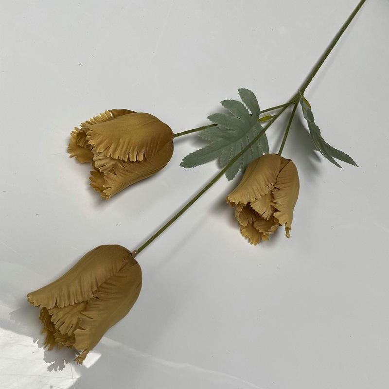 สีน้ำตาลอ่อน