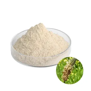 Psyllium Husk Powder Wholesale Price Food Grade Fiber 100% Natural Bulk Psyllium Husk Powder