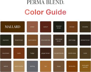 MASSA <span class=keywords><strong>Perma</strong></span> <span class=keywords><strong>Blend</strong></span> Kit de Tinta Profesional para Tatuajes Pigmentos Oscuros para Cejas para Microblading y Delineador de Ojos Permanente - Product Image 4