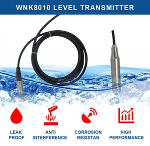 Transmisor de nivel sumergible IP68/Indicador de detector de sensor de nivel de agua con pantalla digital