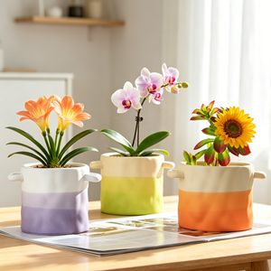 <span class=keywords><strong>Macetas</strong></span> de Cerámica <span class=keywords><strong>con</strong></span> Doble Asa, Decoración Nórdica YBH, Pintadas a Mano <span class=keywords><strong>con</strong></span> Degradado de Color, Personalizadas para Decoración del Hogar - Product Image 6
