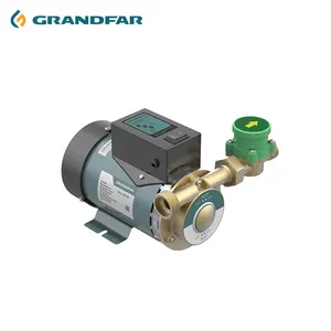 GRANDFAR Factory Direct Automatic Pressure Boosting Water Pump 110/220 V 120W Mini Diaphragm Water Pump With Pressure Gauge