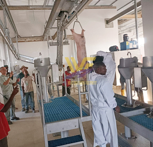 Nhà Cung cấp nhà máy lợn giết mổ dòng thiết bị Lò mổ máy móc cho lò mổ nhà máy - Product Image 6