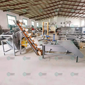 Altre macchine per la lavorazione di dadi albero di palma e macchina separatrice di noci Pecan Sheller Kernel separatore - Product Image 2