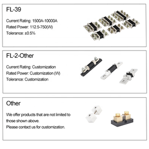 Resistencias <span class=keywords><strong>de</strong></span> Corriente Continua <span class=keywords><strong>de</strong></span> Todo Tipo, Resistencia <span class=keywords><strong>de</strong></span> Metal <span class=keywords><strong>de</strong></span> Miliohmios, 50mV 60mV 75mV 100mV 150mV 100A 150A 200A 250A 300A 400A 500A 600A /1A-7500A - Product Image 5