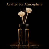 Diffuseur de parfum d'ambiance en verre noir de luxe pour la maison, la chambre et le bureau