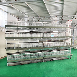 5000 Chim Gà Gia Cầm Trang Trại H Loại Pin Trứng Đẻ Gà Lớp Tự Động Lồng Gà Trong Zimbabwe Cho Bán - Product Image 2
