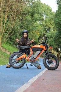 Motocicleta Eléctrica Todoterreno Estilo Motocross, Motor sin Escobillas de 2000W, Batería de Litio de 48V, Suspensión Hidráulica, Aventura Urbana - Product Image 1