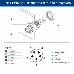 Connecteur M8 à montage sur panneau, 5 broches mâle, codage B, étanche IP67, connecteur de capteur M8, montage frontal, filetage M8, écrou M8, fils toronnés, 3A - Product Image 4