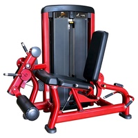 Machines fonctionnelles de sélection de charge de goupille Extension de jambe assise et machine sujette de force de courbure de jambe