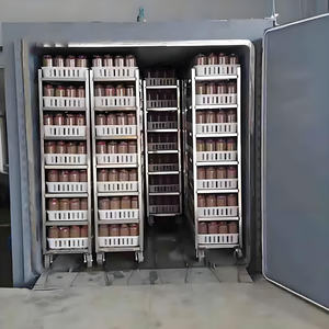 Autoclave Horizontal de Doble Puerta con Control PLC para Esterilización de Sustrato de Hongos para Granjas de Hongos - Product Image 4