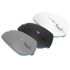 Souris Bluetooth PC ergonomique double 2.4Ghz silencieux Rechargeable ordinateur portable sans fil souris d'ordinateur sans fil