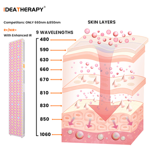 Pannello per Terapia a Infrarossi Multi-Lunghezza d'Onda, Dispositivo LED per Terapia della Luce Rossa per Tutto il Corpo con Supporto, per Trattamenti di <span class=keywords><strong>Bellezza</strong></span> - Product Image 2