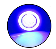 BLANCO + azul + DRL