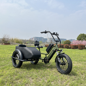 <span class=keywords><strong>Vélo</strong></span> cargo familial à assistance électrique 48v à double batterie, <span class=keywords><strong>vélo</strong></span> électrique à 3 roues avec <span class=keywords><strong>side</strong></span>-<span class=keywords><strong>car</strong></span> - Product Image 5