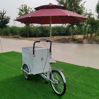 Chariot de Vélo Commercial Réfrigéré pour Crème Glacée, Congélateur Mobile sur Roues pour Service Alimentaire, Garantie 1 An, Dimensions 2140x860x2400mm