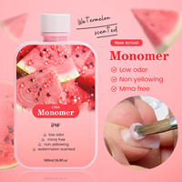 Poudre de trempage adhésive aromatisée à la pastèque 500Ml Monomère Ema Monomère liquide acrylique pour ongles