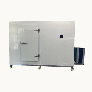 Chambre froide équipement de réfrigération congélateur conteneur chambre froide stockage au froid pour viande poisson légume
