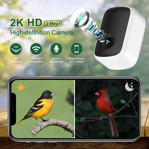 카메라 1080 HD AI 지능형 식별 조류 용품 <span class=keywords><strong>OEM</strong></span>/ODM 스마트 조류 피더 - Product Image 2