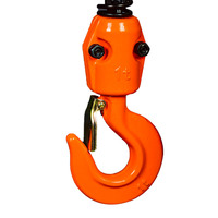 Treuil à chaîne électrique de Type crochet 5T 6m, avec télécommande sans fil, chariot motorisé, palan à chaîne électrique, approvisionnement Direct d'usine