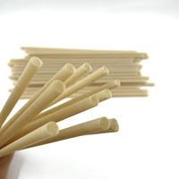 Pailles à boire biodégradables et compostables en bagasse de canne à sucre (PHA) sans PLA pour le camping – Marque BIOPOLY – Alternative au plastique