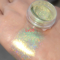 Faible quantité minimale de commande 13 Couleurs Pigments Libres Poudre Laser Multi Duochrome Marque Privée Fard À Paupières