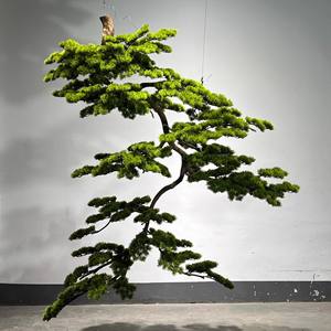迎宾挂树、松树茶室造景、绿植悬挂装饰 - Product Image 4