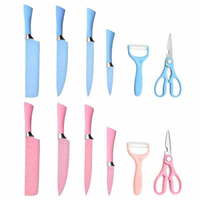 Vente directe d'usine, logo personnalisé, couteau en acier inoxydable 3CR13 bleu rose, ensemble de six couteaux ambidextres avec manches en plastique écologiques