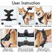 Accessoires pour chiens personnalisés par des designers, harnais et laisse pour chien réglables en nylon réfléchissant, respirant, OEM