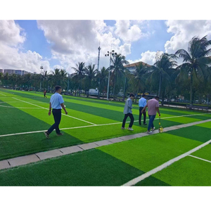 Paquete <span class=keywords><strong>de</strong></span> campo <span class=keywords><strong>de</strong></span> fútbol <span class=keywords><strong>7</strong></span>, césped artificial + porterías <span class=keywords><strong>de</strong></span> aluminio, entrega rápida - Product Image 3