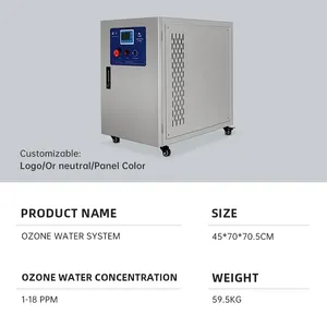 Aquarium Ozone Water Generator Intergrated Mixing Pump 20g Ozone Generator For Water