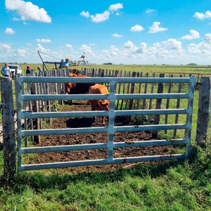 <span class=keywords><strong>Portail</strong></span> <span class=keywords><strong>d</strong></span>'<span class=keywords><strong>entrée</strong></span> de ferme en acier galvanisé à chaud avec charnières pour le bétail - Product Image 3